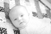 Cook Newborn Portraits - Jacksonville Newborn Photographer