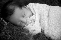 Screen Twins - Jacksonville Newborn Photographer